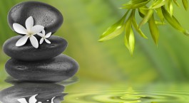 Personal Solutions
